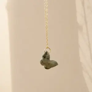 Collier Sunkissed papillon gris